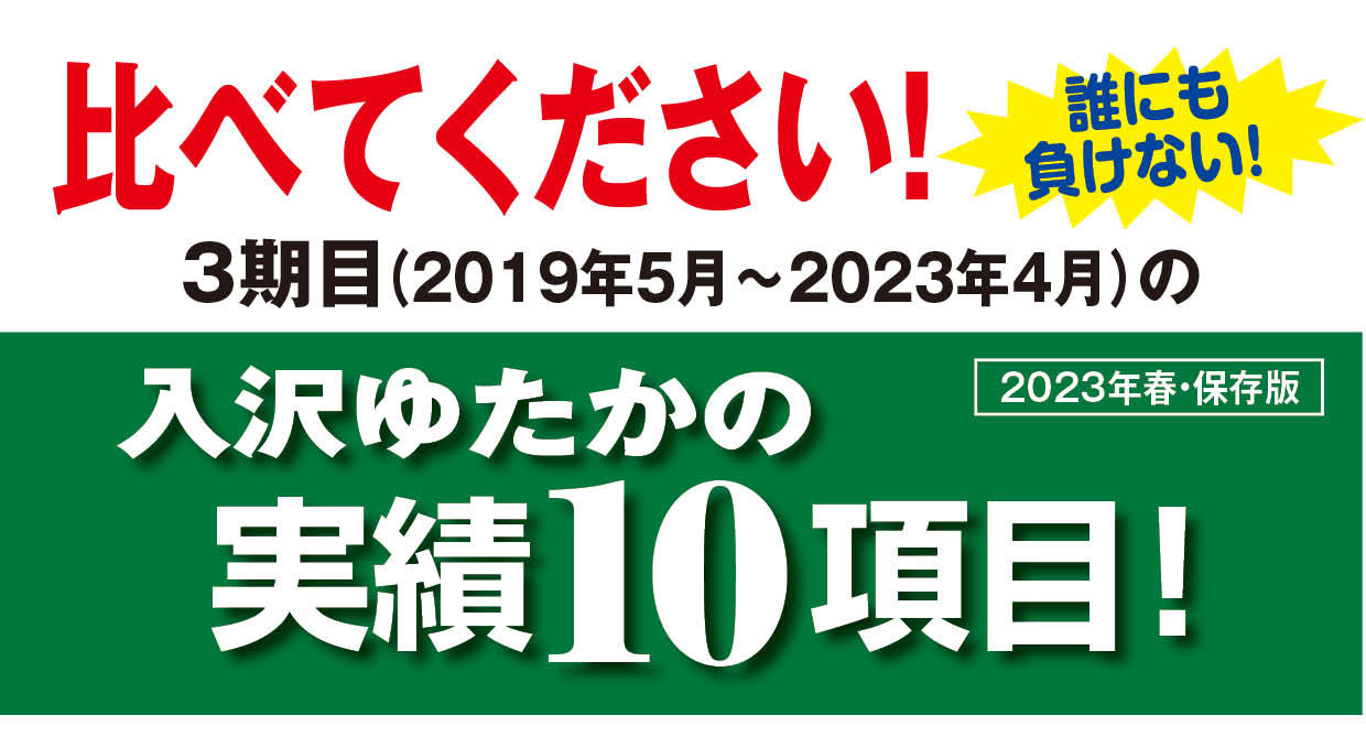 実績10項目