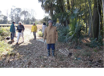 所沢竹林公園プロジェクト